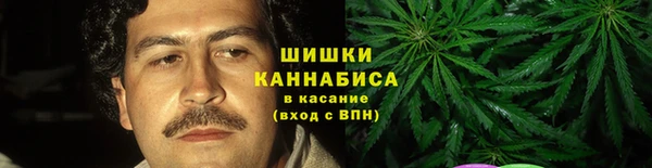ALPHA PVP Козельск