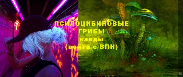 МДМА Козловка