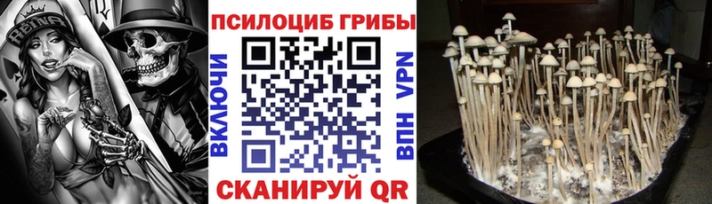 ссылка на мегу как зайти  Москва  Псилоцибиновые грибы Magic Shrooms 